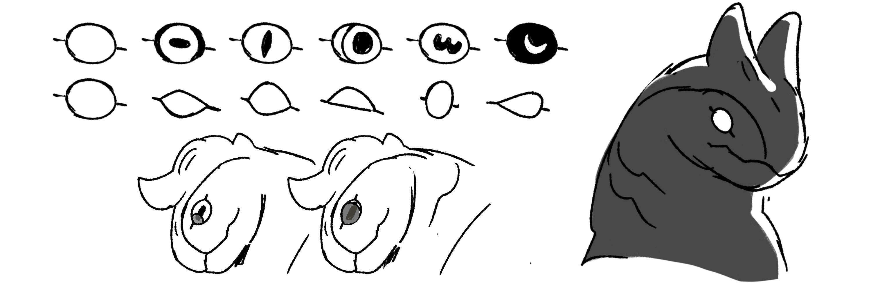 eyes.png